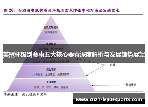 美冠杯级别赛事五大核心要素深度解析与发展趋势展望
